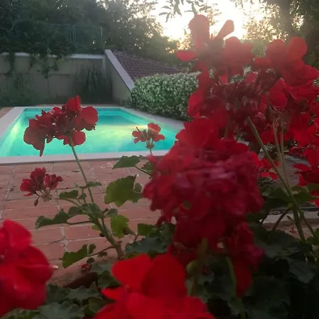 公寓 Aya - With Sauna And Outdoor Swimming Pool 莫斯塔尔