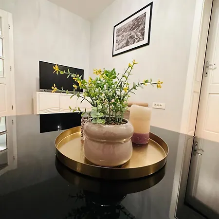 Aya - With Sauna And Outdoor Swimming Pool 公寓 *